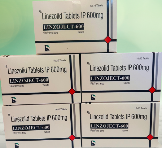 WhatsApp-Image-2025-04-29-at-2.33.12-PM-1